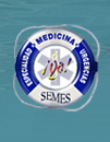 SEMES logo